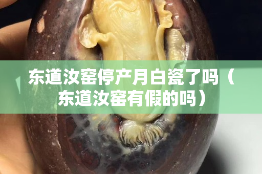 東道汝窯停產(chǎn)月白瓷了嗎（東道汝窯有假的嗎）