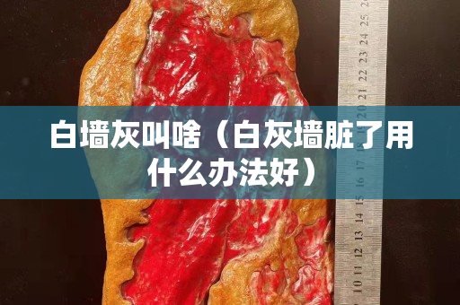 白墻灰叫啥（白灰墻臟了用什么辦法好）