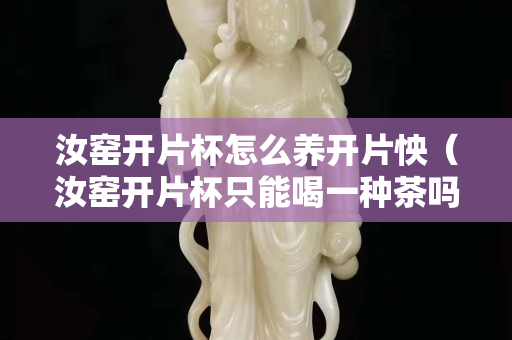 汝窯開片杯怎么養開片怏（汝窯開片杯只能喝一種茶嗎）