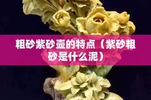 粗砂紫砂壺的特點（紫砂粗砂是什么泥）