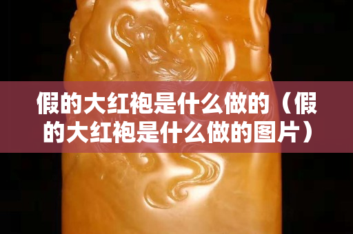 假的大紅袍是什么做的（假的大紅袍是什么做的圖片）
