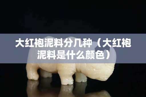 大紅袍泥料分幾種（大紅袍泥料是什么顏色）