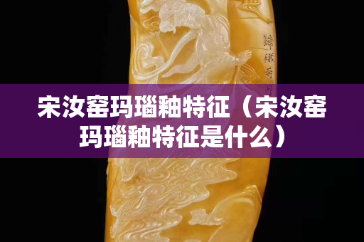 宋汝窯瑪瑙釉特征（宋汝窯瑪瑙釉特征是什么）