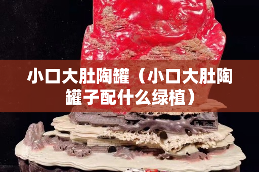 小口大肚陶罐（小口大肚陶罐子配什么綠植）