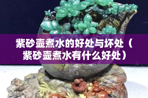 紫砂壺煮水的好處與壞處（紫砂壺煮水有什么好處）