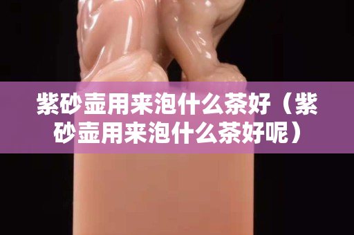 紫砂壺用來泡什么茶好（紫砂壺用來泡什么茶好呢）