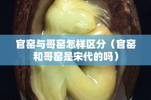 官窯與哥窯怎樣區分（官窯和哥窯是宋代的嗎）