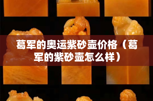 葛軍的奧運紫砂壺價格（葛軍的紫砂壺怎么樣）