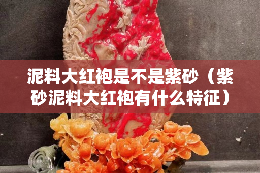 泥料大紅袍是不是紫砂（紫砂泥料大紅袍有什么特征）