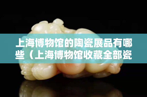 上海博物館的陶瓷展品有哪些（上海博物館收藏全部瓷器欣賞）