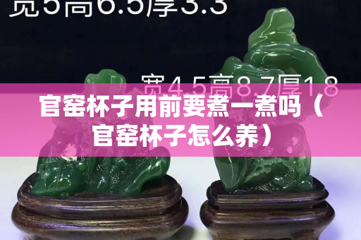 官窯杯子用前要煮一煮嗎（官窯杯子怎么養）