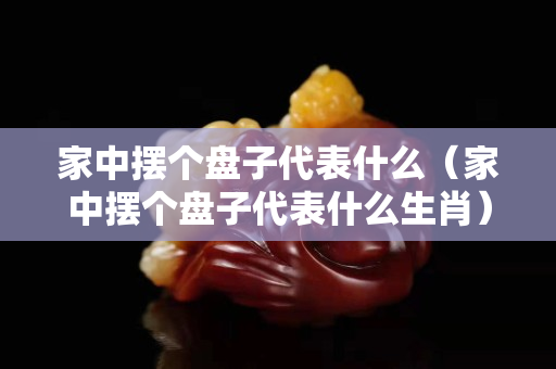 家中擺個盤子代表什么（家中擺個盤子代表什么生肖）
