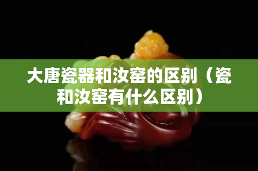 大唐瓷器和汝窯的區別（瓷和汝窯有什么區別）