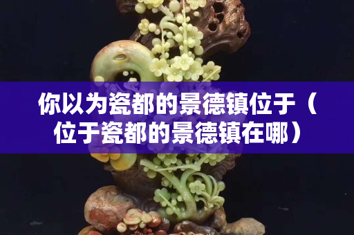 你以為瓷都的景德鎮位于（位于瓷都的景德鎮在哪）