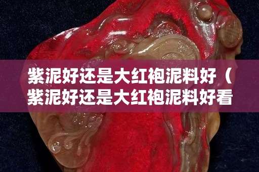 紫泥好還是大紅袍泥料好（紫泥好還是大紅袍泥料好看）