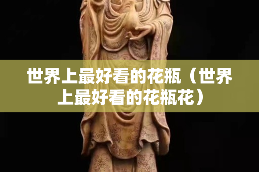 世界上最好看的花瓶（世界上最好看的花瓶花）