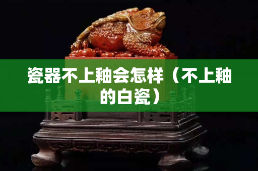 瓷器不上釉會怎樣（不上釉的白瓷）