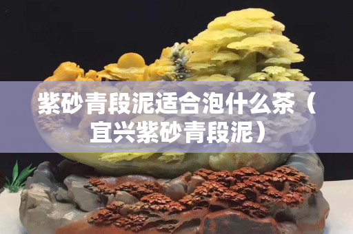 紫砂青段泥適合泡什么茶（宜興紫砂青段泥）