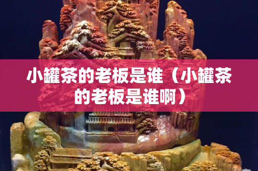 小罐茶的老板是誰（小罐茶的老板是誰啊）
