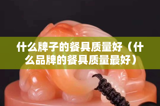 什么牌子的餐具質量好（什么品牌的餐具質量最好）