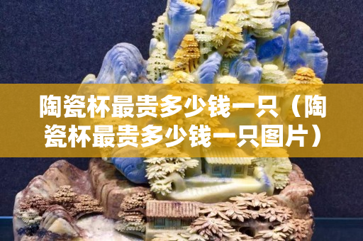 陶瓷杯最貴多少錢一只（陶瓷杯最貴多少錢一只圖片）