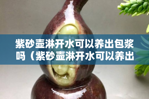 紫砂壺淋開水可以養(yǎng)出包漿嗎（紫砂壺淋開水可以養(yǎng)出包漿嗎為什么）