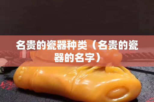 名貴的瓷器種類（名貴的瓷器的名字）