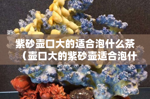 紫砂壺口大的適合泡什么茶（壺口大的紫砂壺適合泡什么茶）