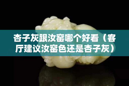 杏子灰跟汝窯哪個好看（客廳建議汝窯色還是杏子灰）