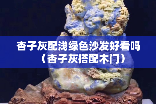 杏子灰配淺綠色沙發好看嗎（杏子灰搭配木門）