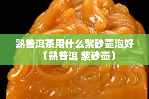 熟普洱茶用什么紫砂壺泡好（熟普洱 紫砂壺）