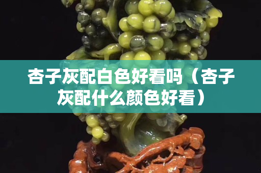 杏子灰配白色好看嗎（杏子灰配什么顏色好看）