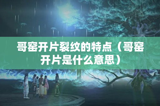 哥窯開片裂紋的特點（哥窯開片是什么意思）