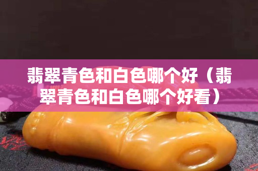 翡翠青色和白色哪個(gè)好（翡翠青色和白色哪個(gè)好看）