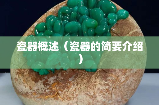 瓷器概述（瓷器的簡(jiǎn)要介紹）