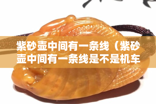 紫砂壺中間有一條線（紫砂壺中間有一條線是不是機車壺）