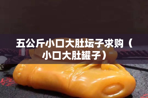 五公斤小口大肚壇子求購（小口大肚罐子）