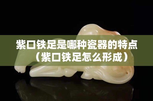 紫口鐵足是哪種瓷器的特點（紫口鐵足怎么形成）