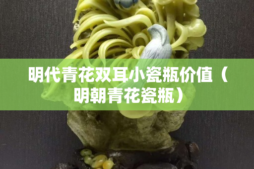 明代青花雙耳小瓷瓶價值（明朝青花瓷瓶）