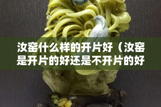 汝窯什么樣的開片好（汝窯是開片的好還是不開片的好）