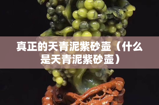 真正的天青泥紫砂壺（什么是天青泥紫砂壺）
