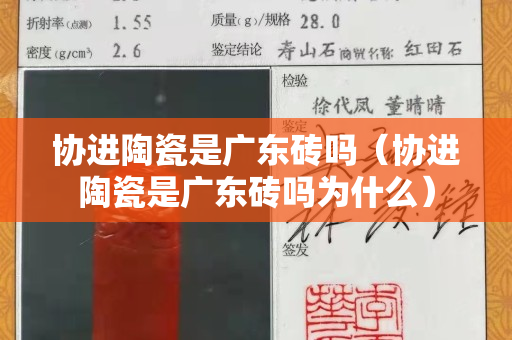 協進陶瓷是廣東磚嗎（協進陶瓷是廣東磚嗎為什么）