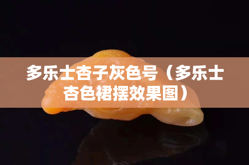 多樂士杏子灰色號（多樂士杏色裙擺效果圖）