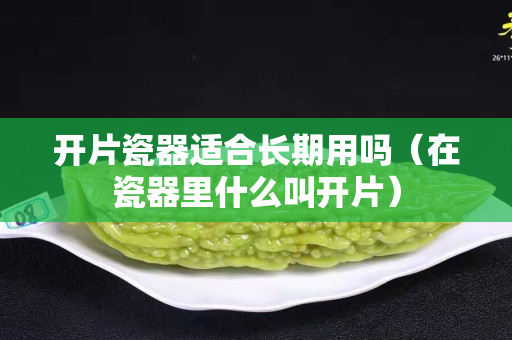 開片瓷器適合長期用嗎（在瓷器里什么叫開片）