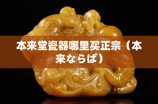 本來堂瓷器哪里買正宗（本來ならば）