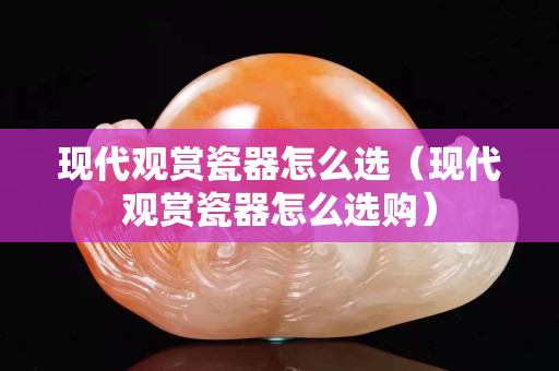 現(xiàn)代觀賞瓷器怎么選（現(xiàn)代觀賞瓷器怎么選購）