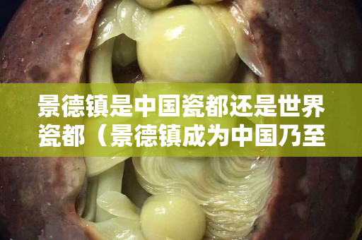 景德鎮是中國瓷都還是世界瓷都（景德鎮成為中國乃至世界瓷都的原因是什么）