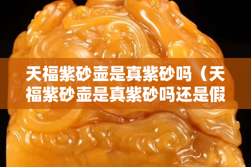 天福紫砂壺是真紫砂嗎（天福紫砂壺是真紫砂嗎還是假的）