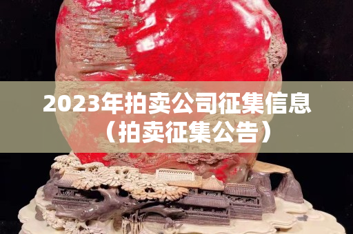 2023年拍賣公司征集信息（拍賣征集公告）