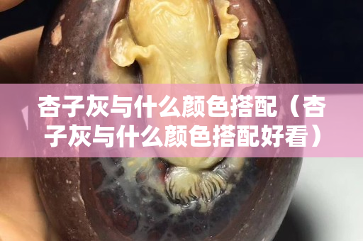 杏子灰與什么顏色搭配（杏子灰與什么顏色搭配好看）